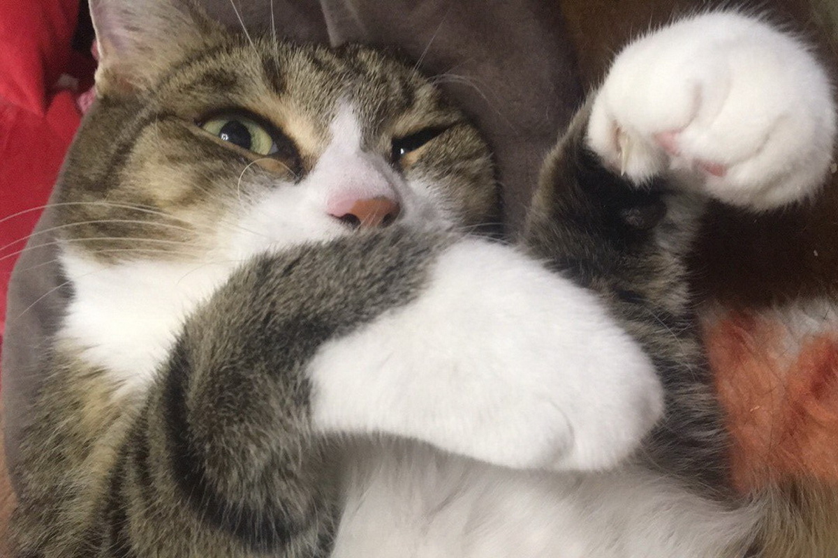    Фото: Татьяна Шилина