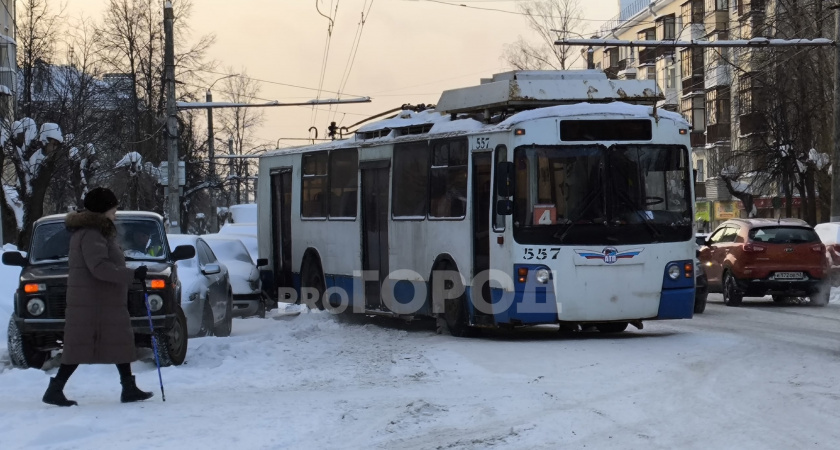    Фото: progorod43.ru