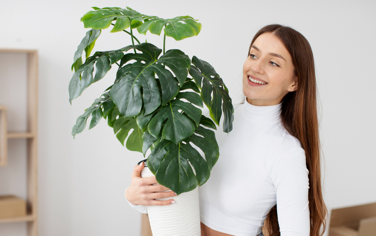    Зеленые мужегоны: какие растения приносят одиночество