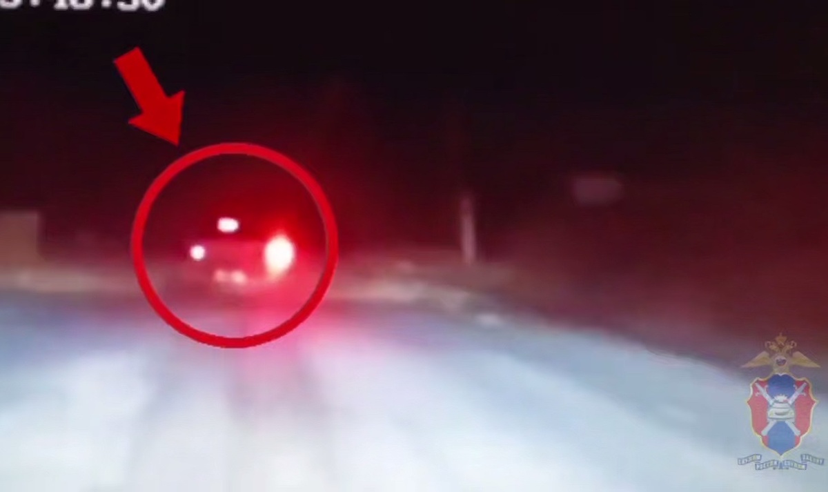     Фото: скрин видео