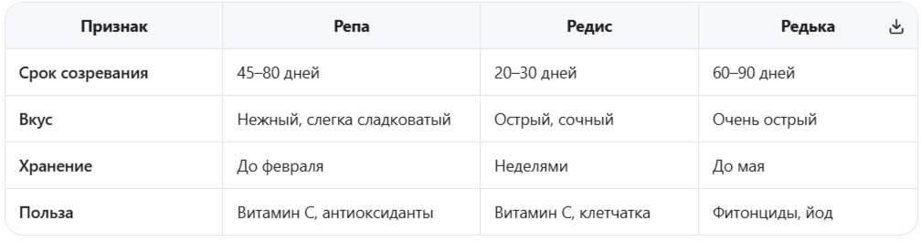Репа vs редис и редька