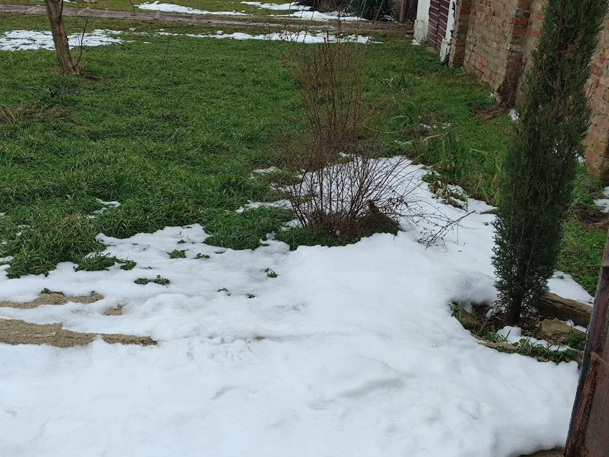 И тут еще сугробы