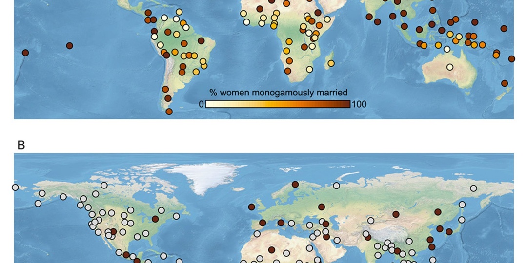 Бабло сильней эволюции
