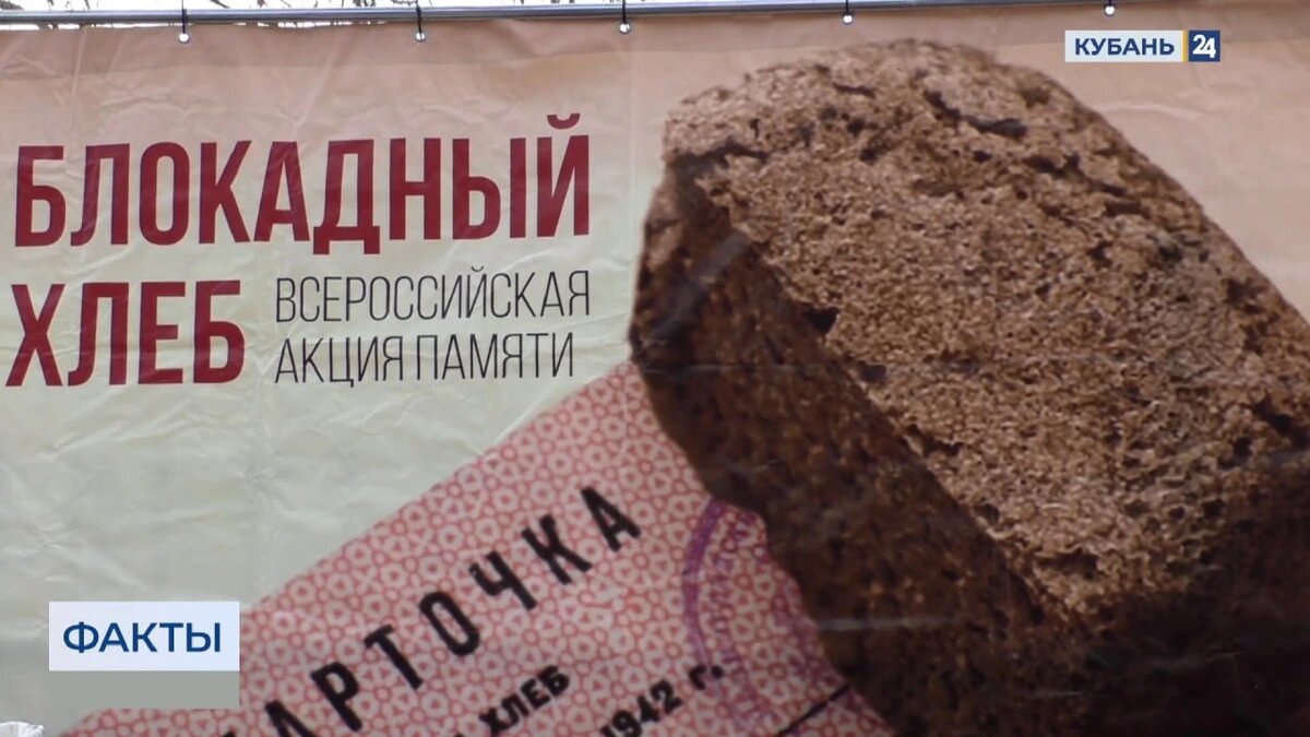    Скриншот видео телеканала «Кубань 24»