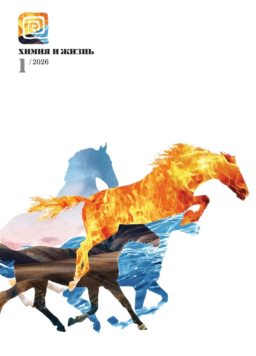 Дизайн обложки: Александр Кук