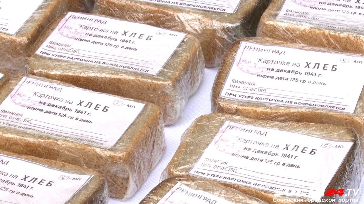 фото: Сочи 24  📷
