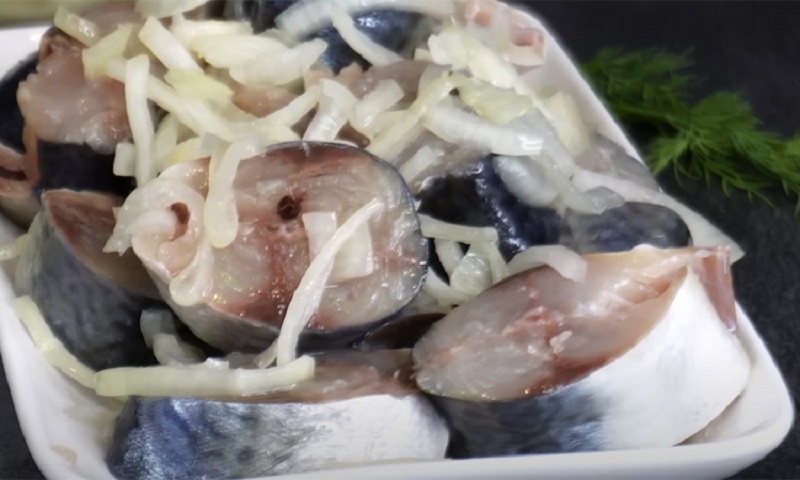 Северный способ соления скумбрии: быстрый рецепт, проверенный рыбаками