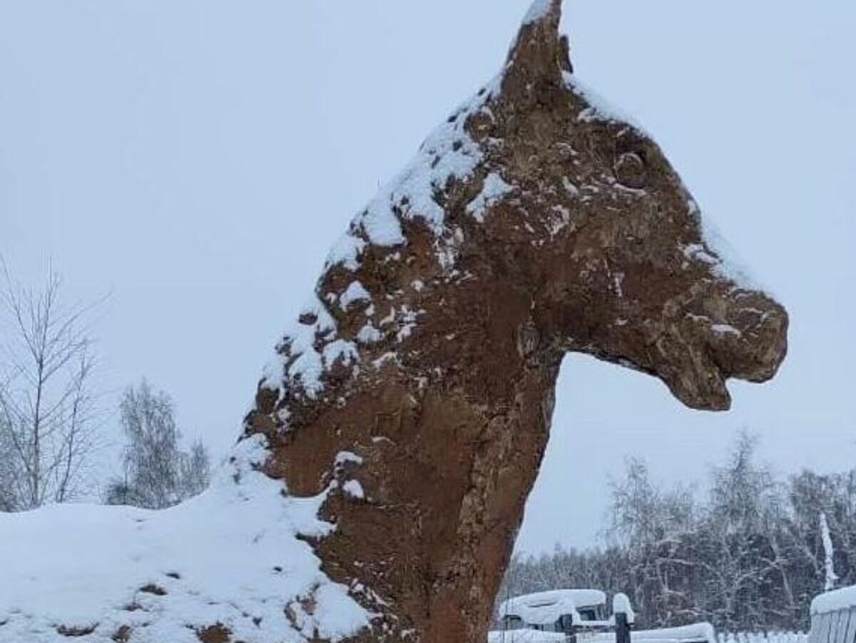    Фигура лошади из коровьего навоза в якутском селе Уолба | © Фото : Sakhaday