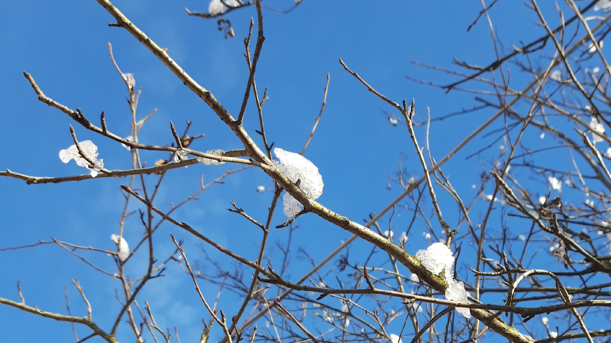 Яркое зимнее небо