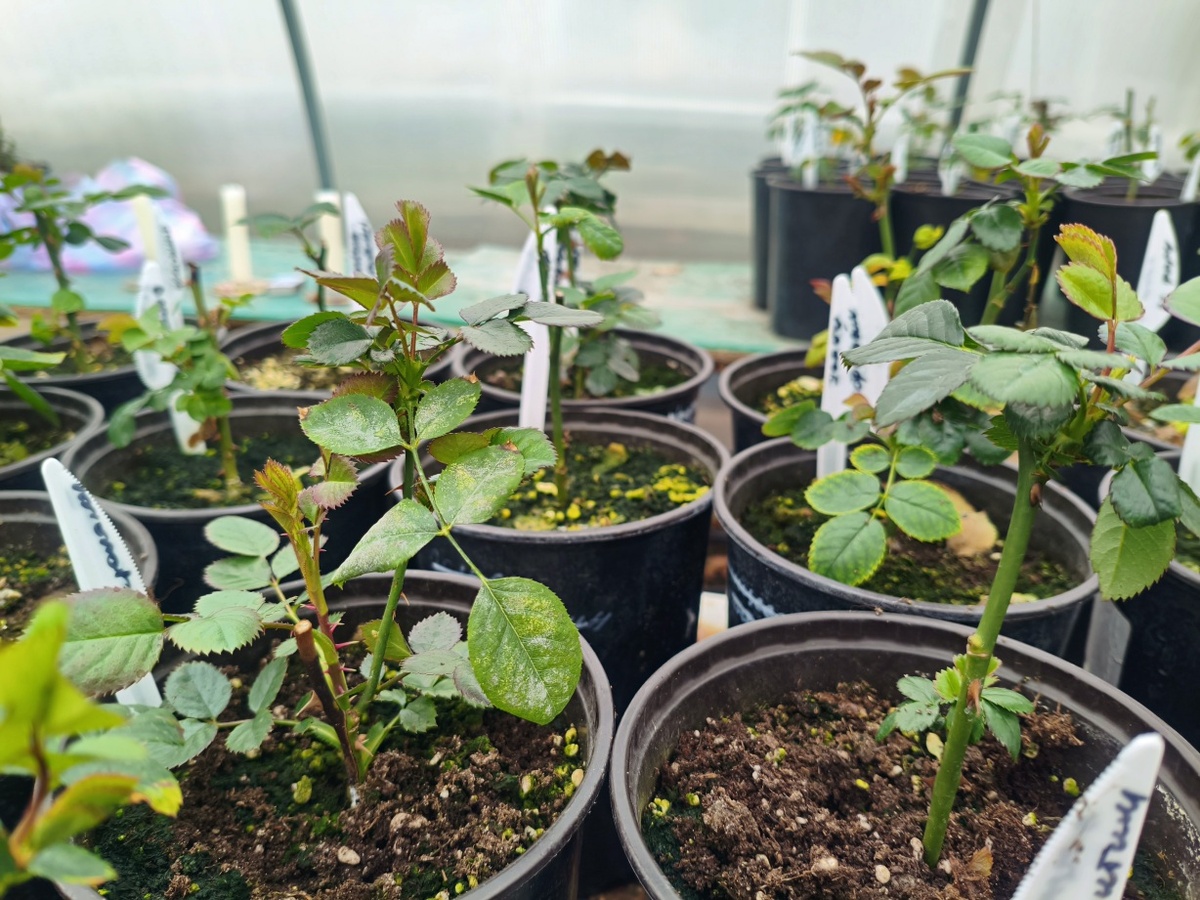 Листайте вправо