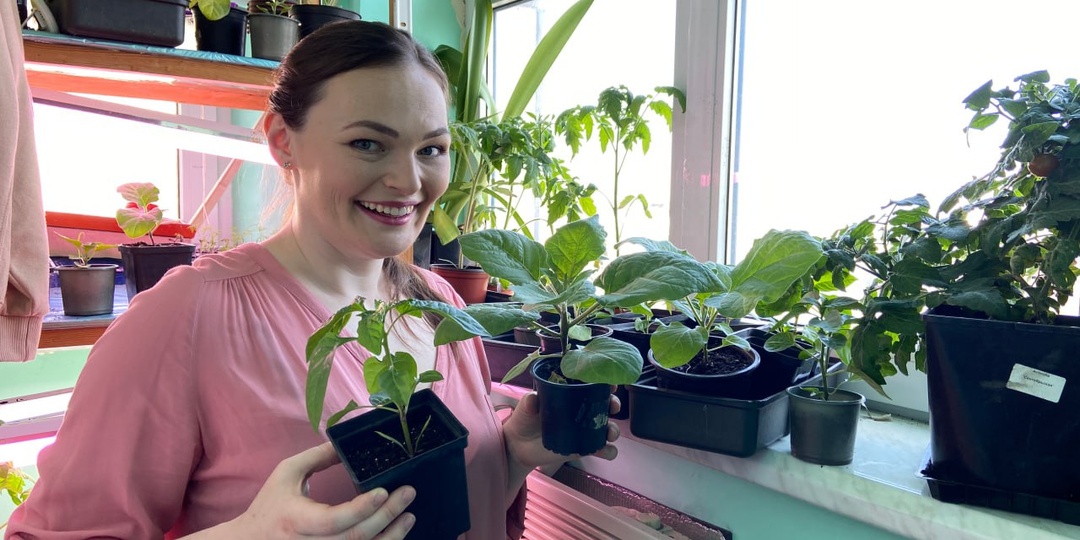 Южная лоджия - благо или проблема для рассады?