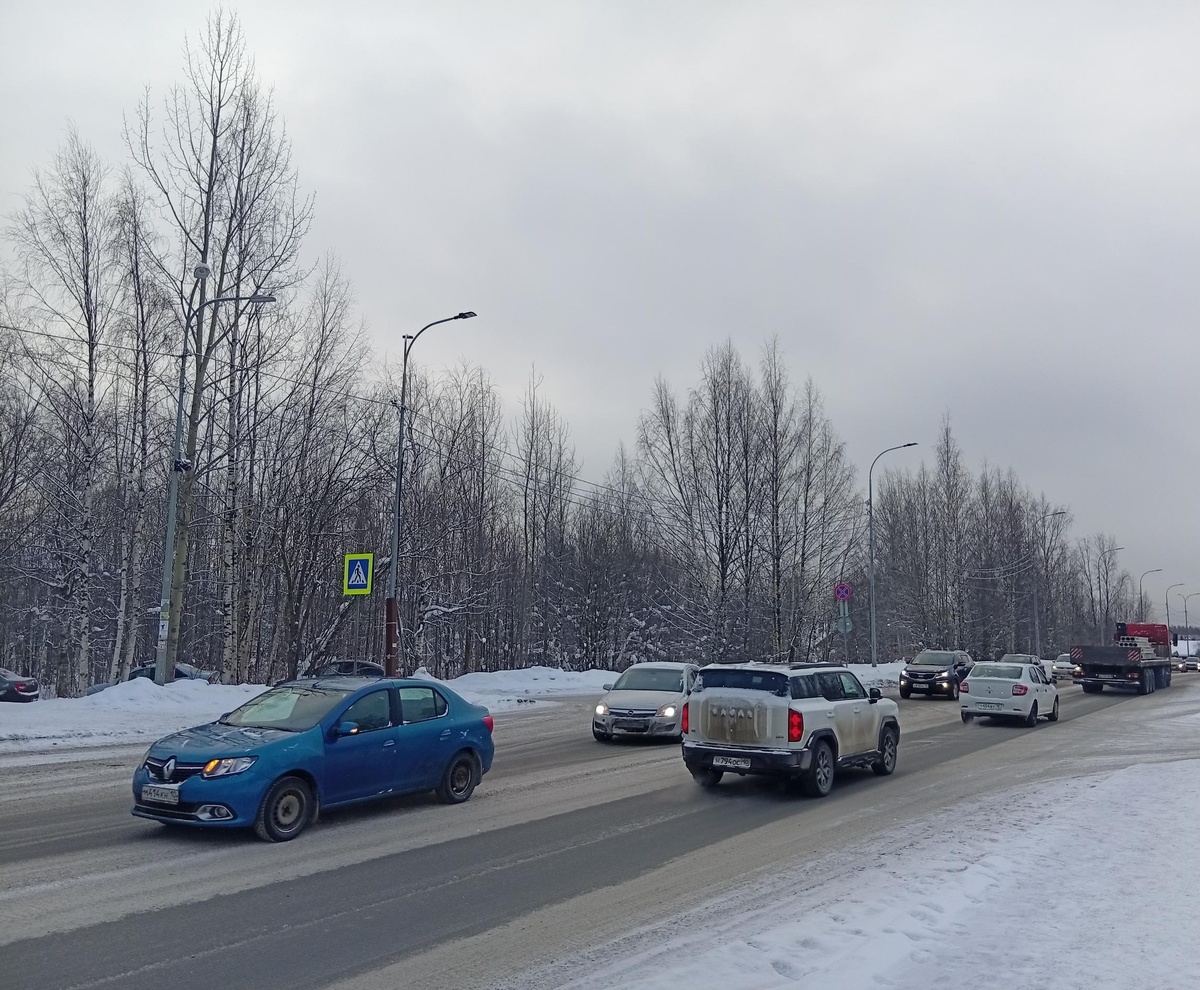    фото: © Госавтоинспекция по Петрозаводску