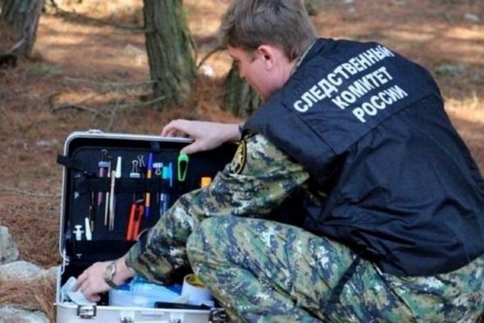 Иллюстрация: sledcom.ru