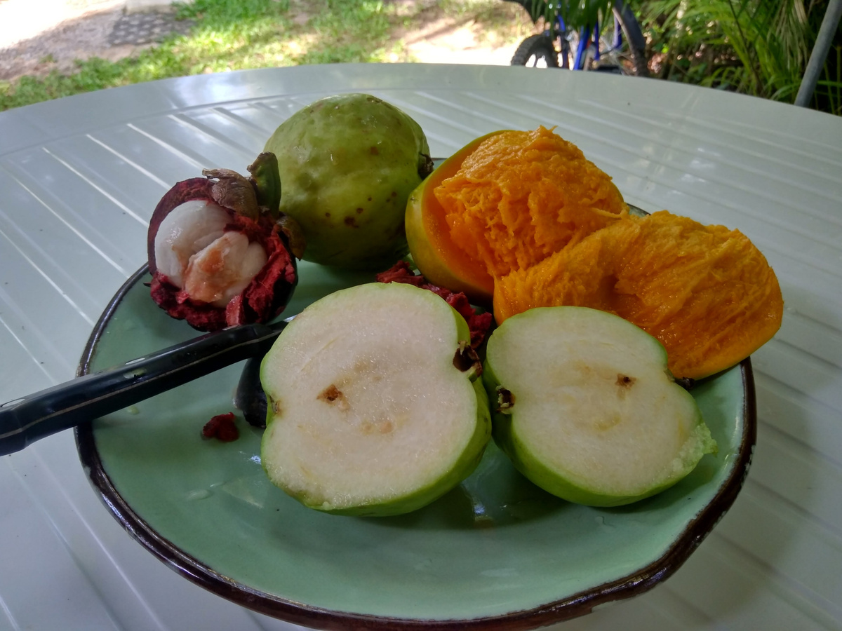 фото тропических фруктов в Тайланде