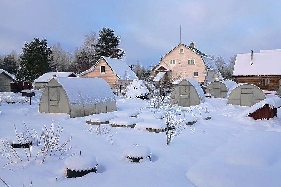 Снег - лучшее одеяло, но только для грядок открытого грунта.