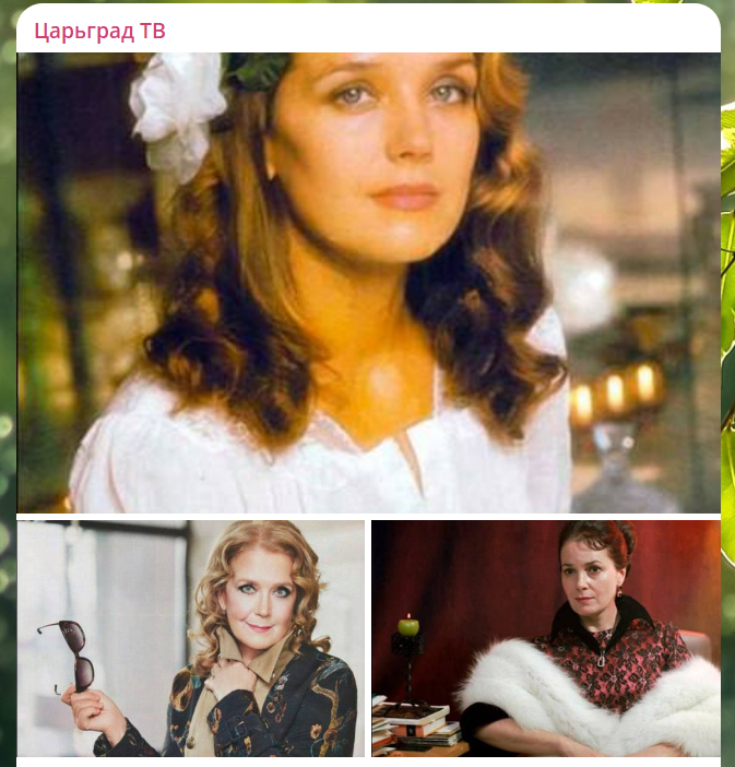 Скриншот: тг-канал Царьград ТВ