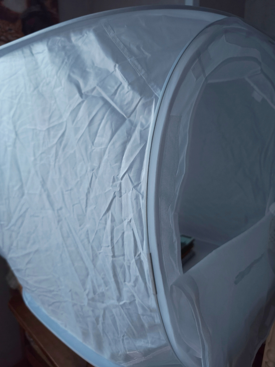 Фото 📷 автора