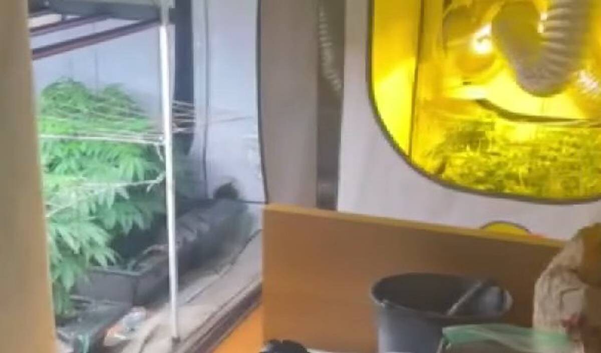    Фото: скриншот / пресс-служба ГУ МВД России