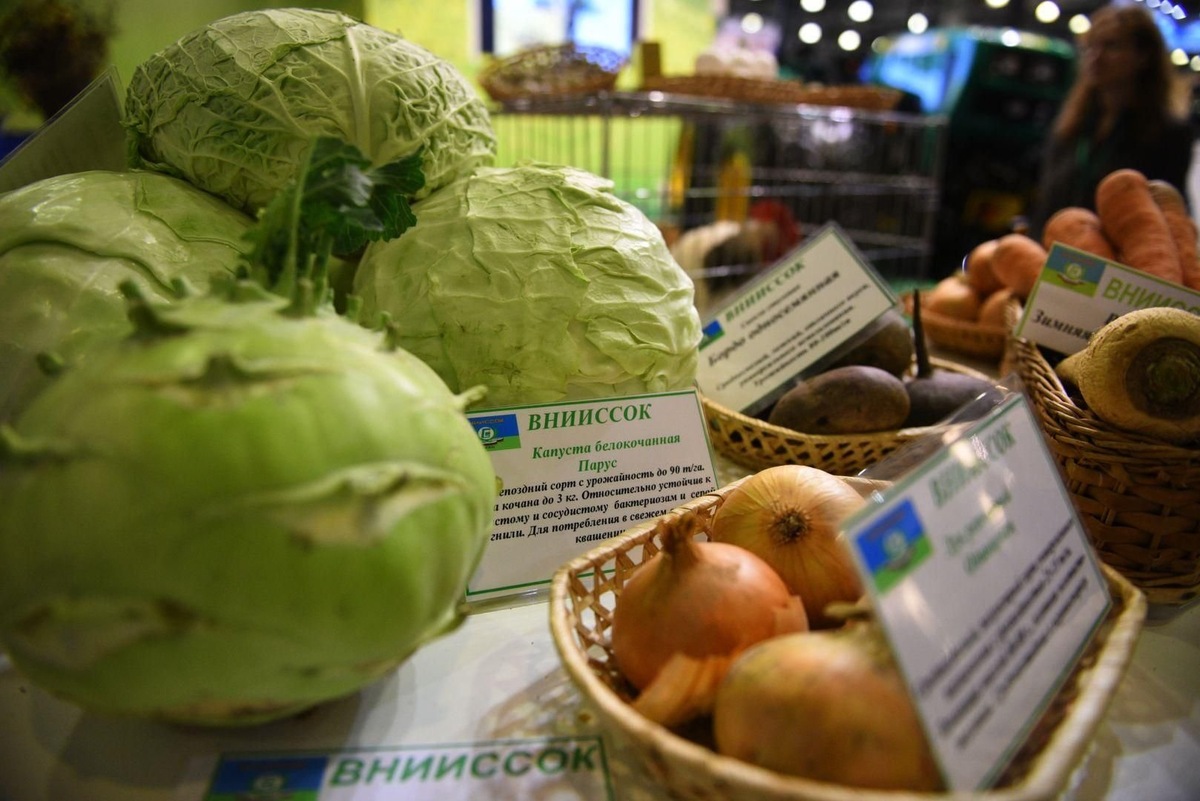    Фото: пресс-служба Министерства сельского хозяйства и продовольствия Московской области