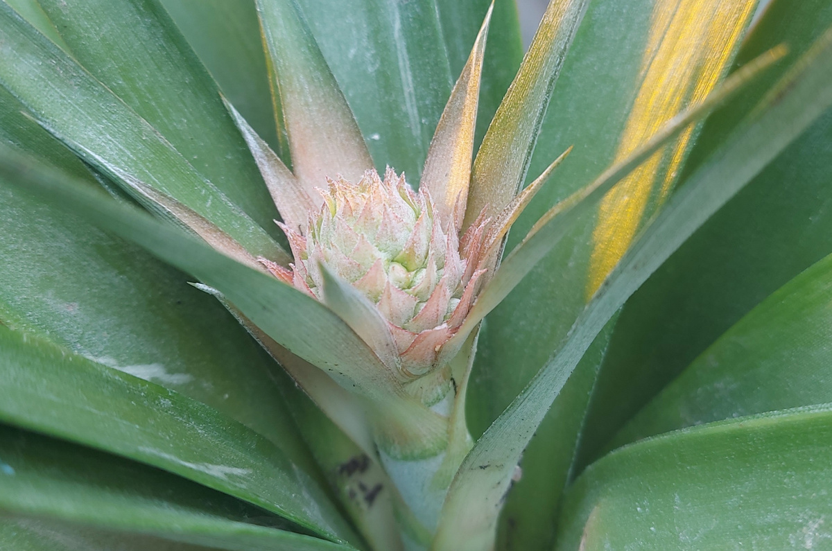 30 января 2025 г.