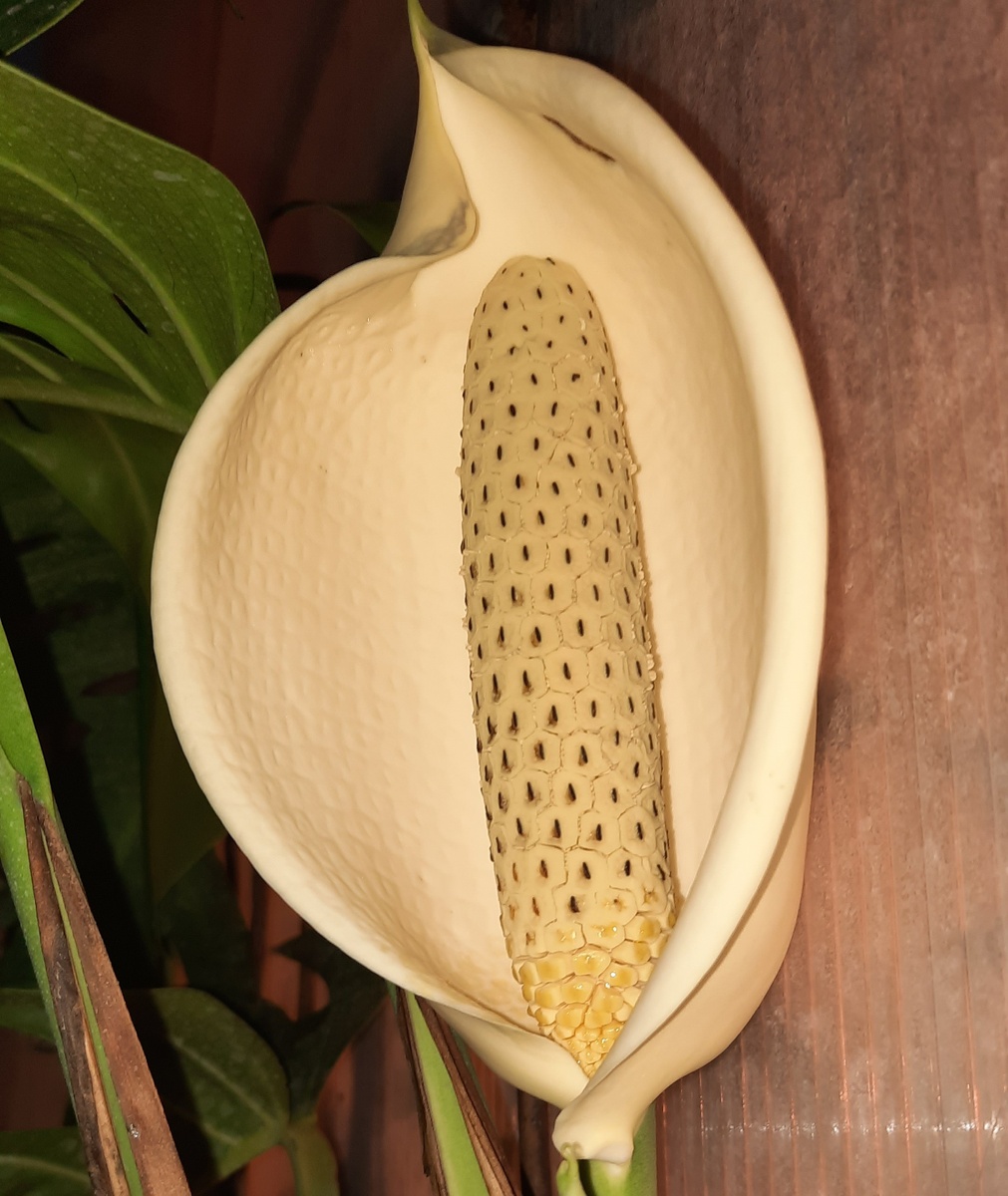 9 декабря 2025 г.