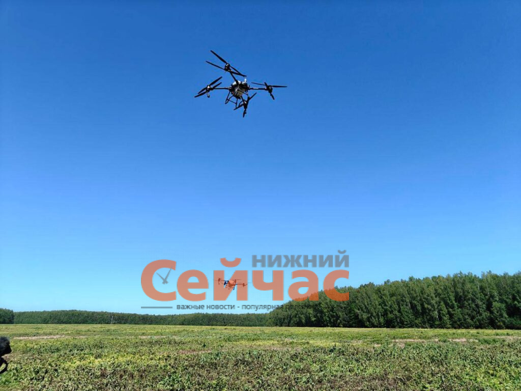    Фото: Телеграм-канал Глеба Никитина Иван Воробьев