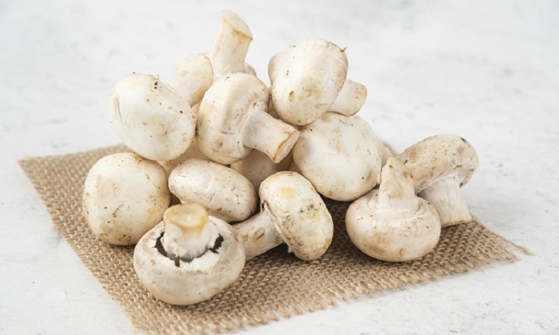 Настоящие кавказские шампиньоны: секрет безупречного аромата и глубины вкуса