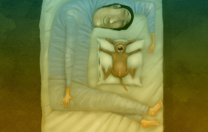 Для веселого настроения: добрые карикатуры Андрея Попова