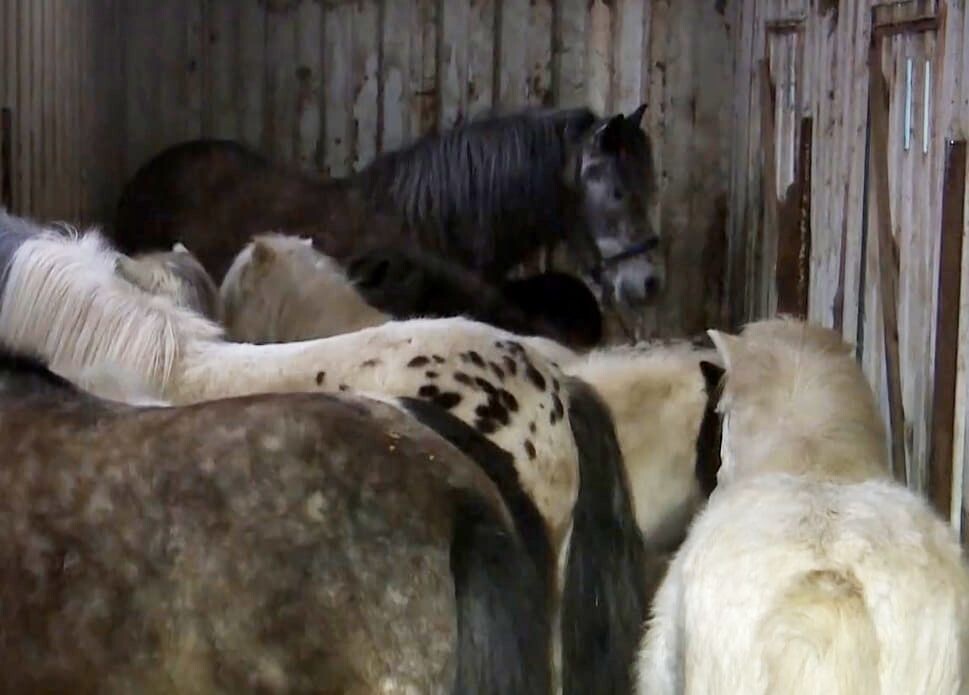     / Источник: Кадр из видео