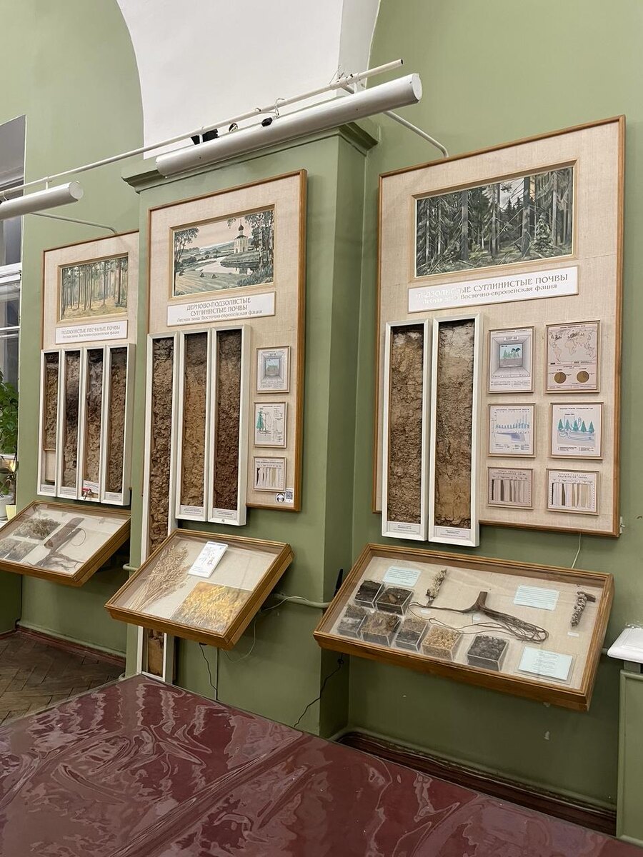 Дни бесплатного посещения Музея: ближайшее воскресенье к 1 марта – день рождения основателя науки о почве –  Докучаева, 22 апреля – День Земли, 5 июня —Всемирный день окружающей среды,  День Василеостровского района (дата уточняется Администрацией района),  5 декабря – Всемирный день почв