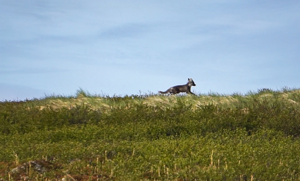    Карельский научный центр РАН / ВК