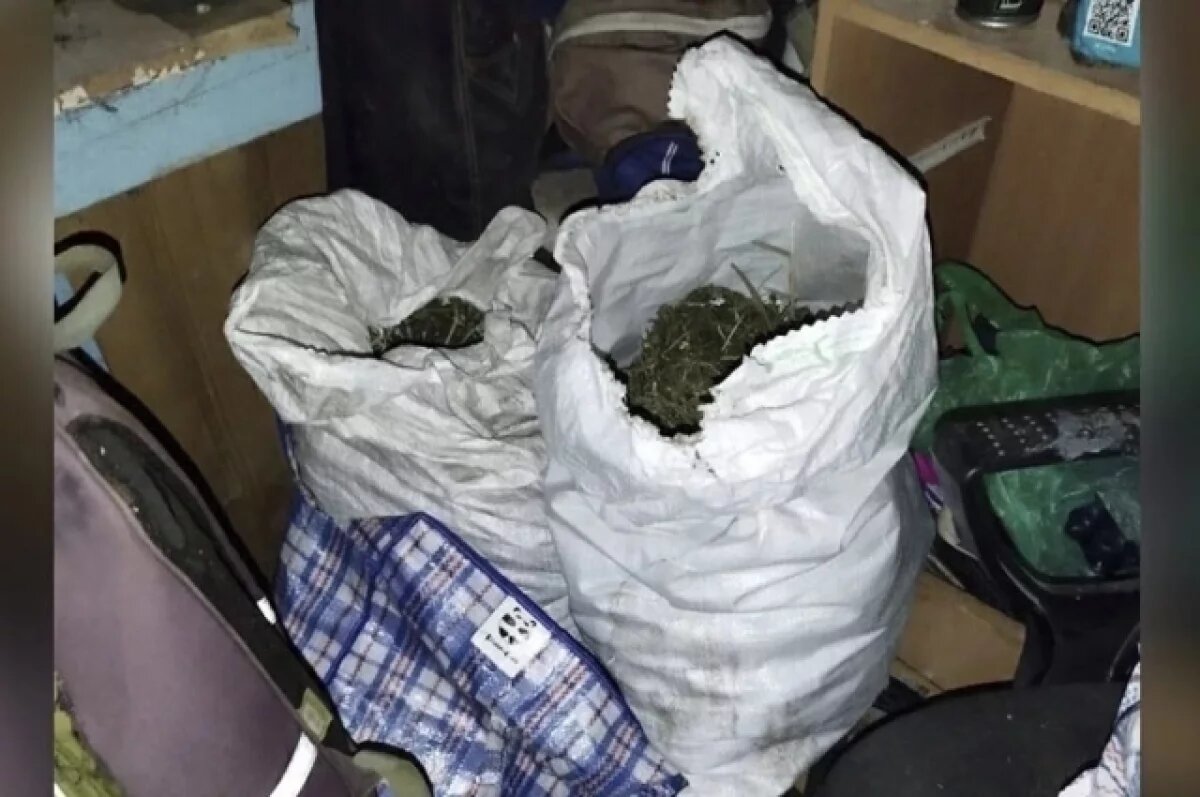    Сельчанин заготовил на зиму 3,5 кг марихуаны в Похвистневском районе