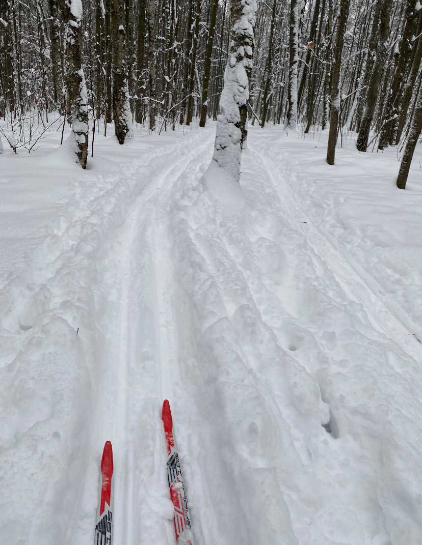 Снега в этом году прилично 