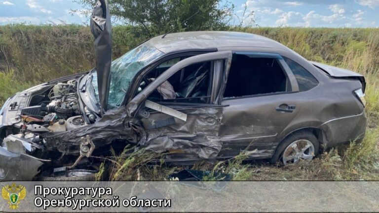   В Оренбуржье суд ужесточил приговор виновнику смертельного ДТП Оренбуржье