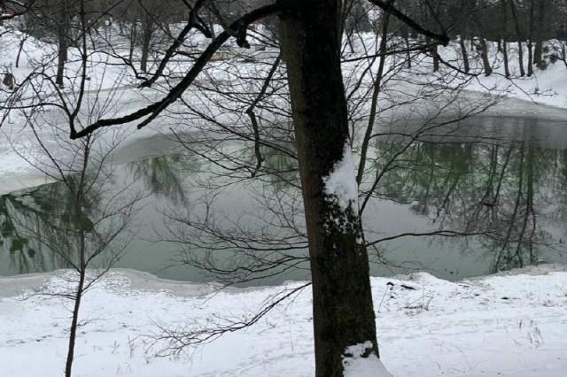   Фото: телеграм-канал администрации Калининграда