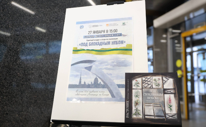    © https://t.me/transportniytseh