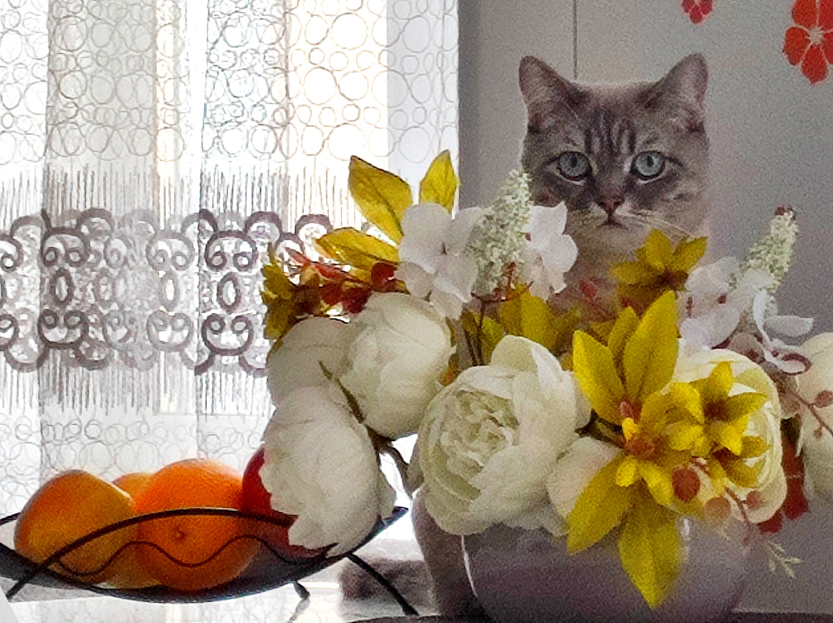 Застукала Соню на месте преступления 