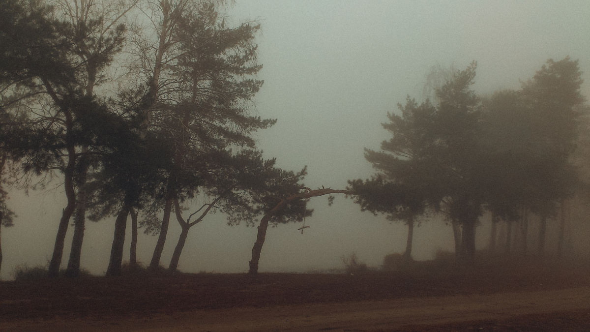 Туманные дни накануне снегопада. Фото из архива автора