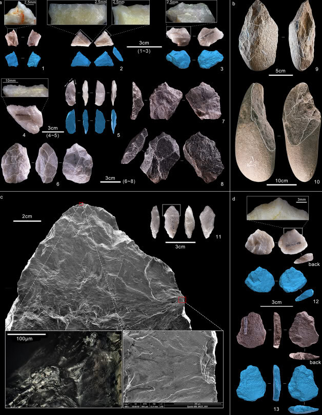    Ряд орудий, изученных в новой работе / © Hulk Yuan, IVPP