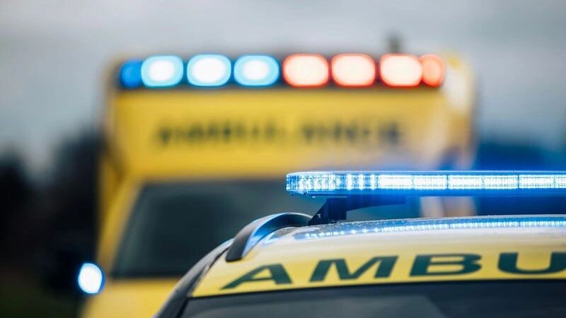    Фото: Jaromir Chalabala/Shutterstock/Fotodom