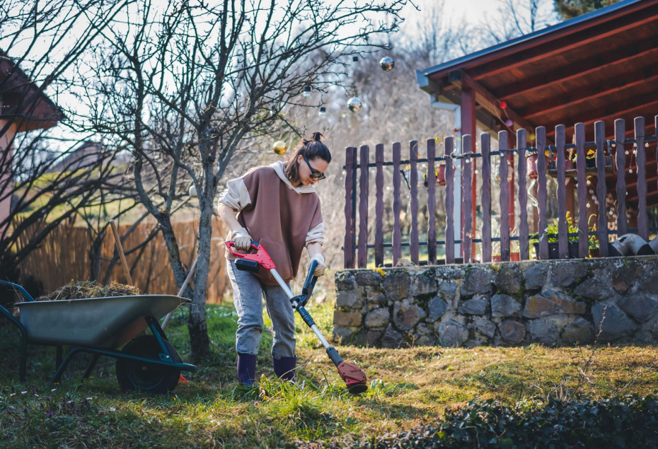    Shutterstock/FOTODOM