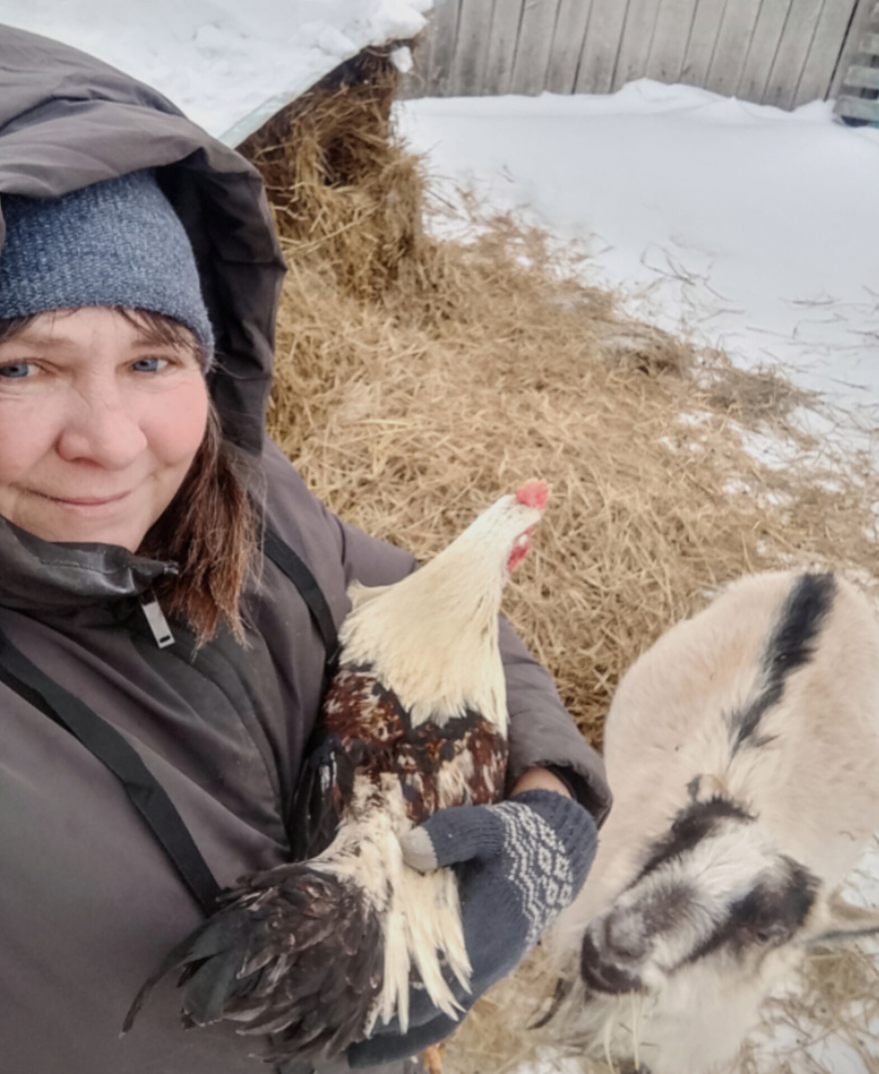 фото автора, Люся знакомится с новым жителем моего маленького хозяйства