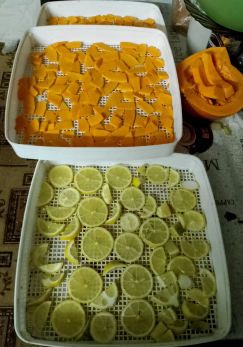 фото автора, даже зимой есть работа для сушилки. На очереди морковь. 