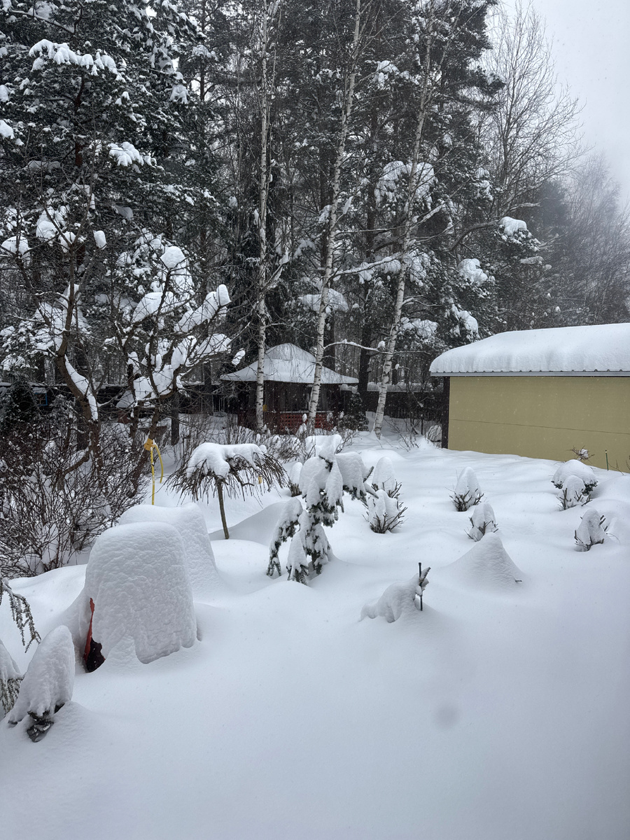 Вот так зима! Снега уже больше метра