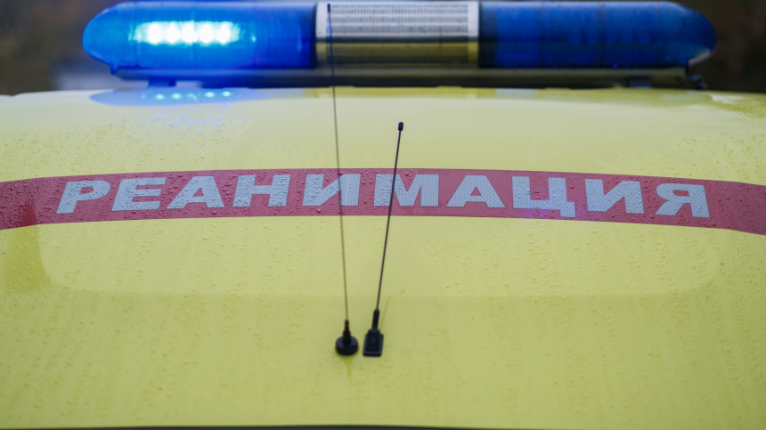    Фото: ИЗВЕСТИЯ/Сергей Виноградов