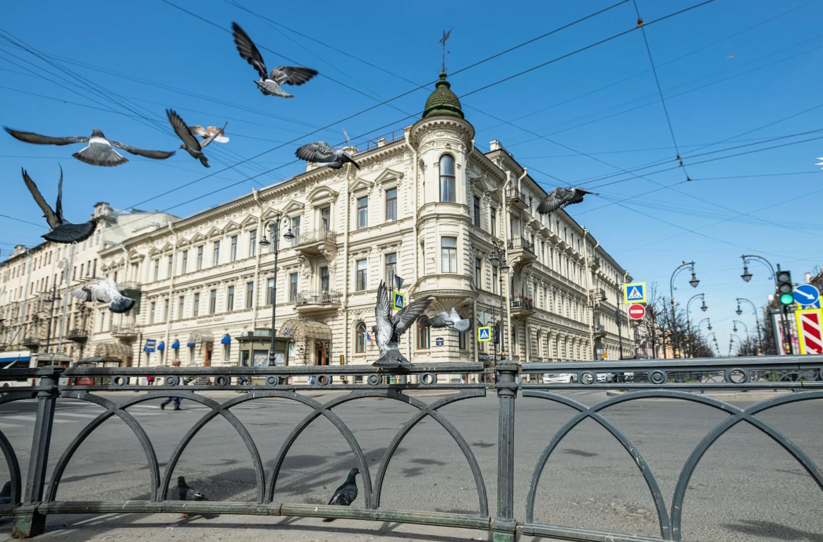 Фото из открытых источников