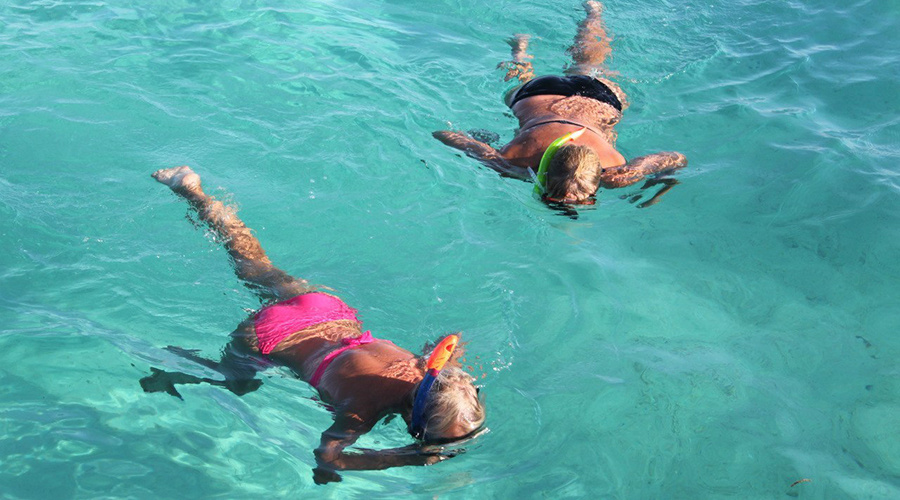 Подводный мир