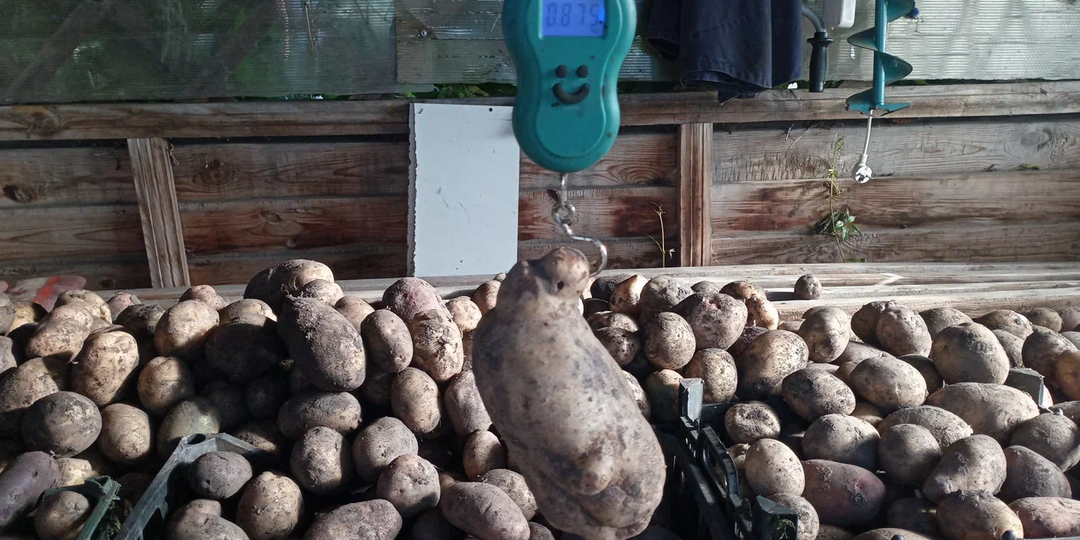 "Деревенский менталилет". Есть ли такой?