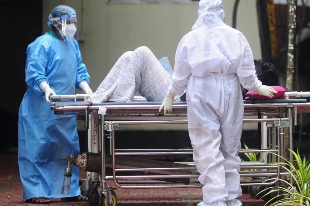    В Китае предупредили о последствиях развития смертельного вируса Нипах