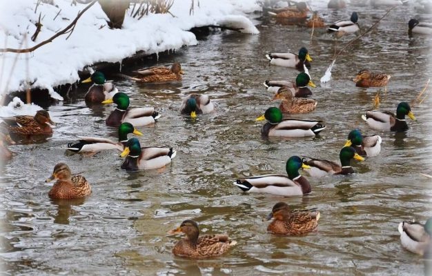 Фото: Управление эконадзора и природопользования ВКонтакте  📷
